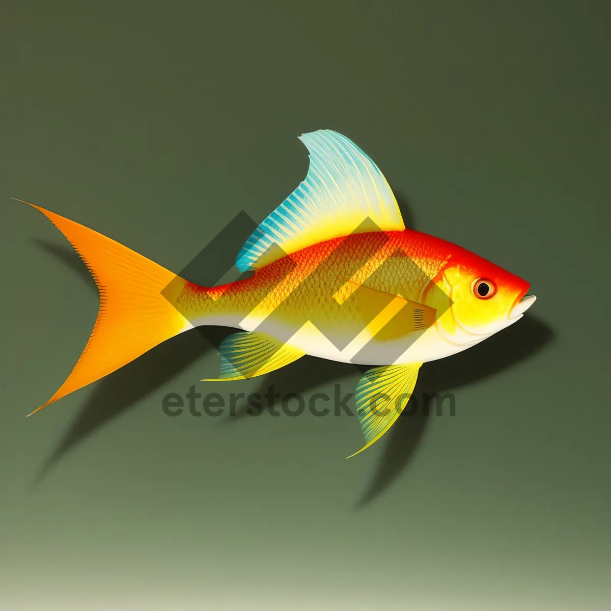 Picture of Golden Tropical Fish in Aquarium