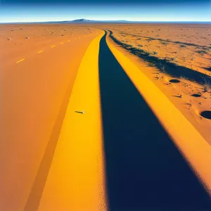 Sandscape Sunset: Wings Soaring Through Desert Horizon