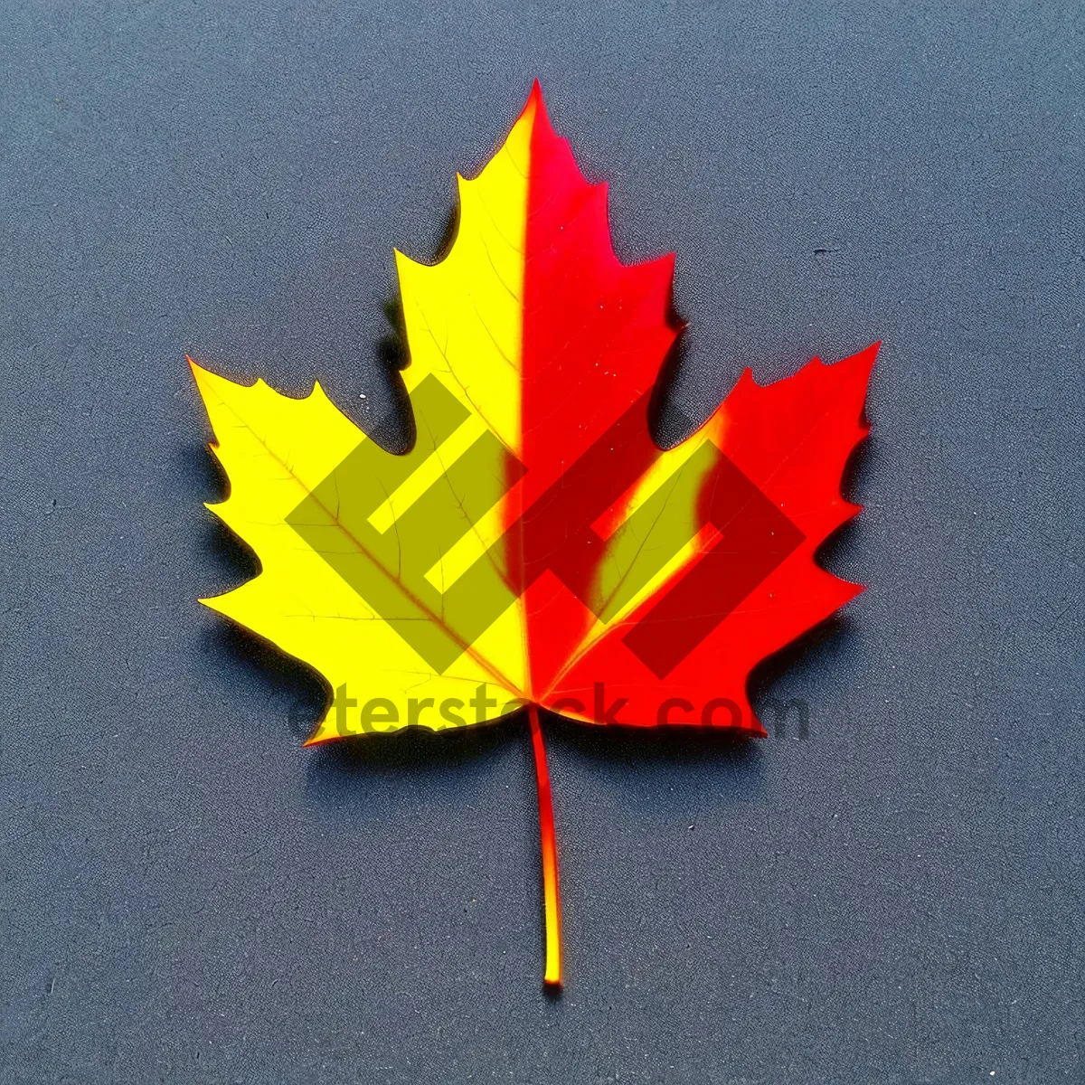 Picture of Golden Autumn Leaf Decoration with Thumbtack Flag