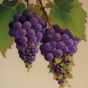 Ripe and Juicy Autumn Berry Harvest