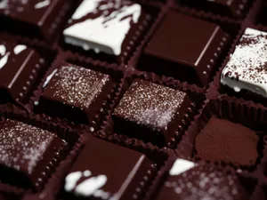 Delicious Gourmet Dark Chocolate Candy Box