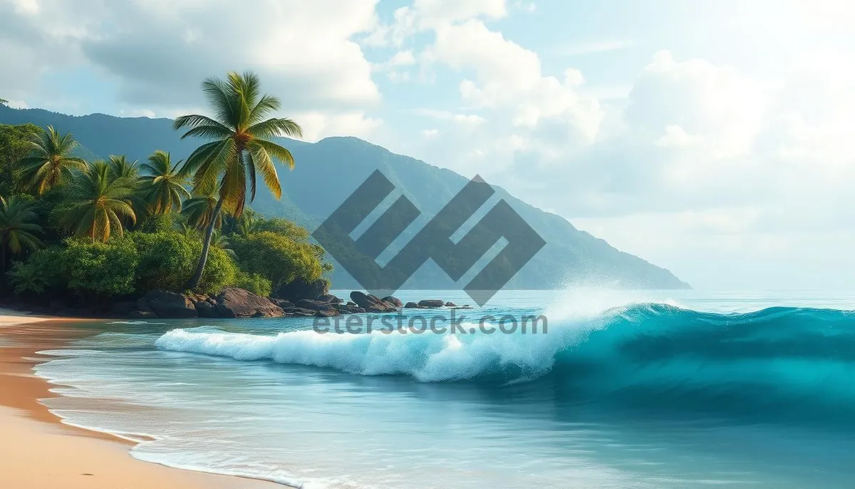 Picture of Tropical Island Beach with Palm Trees and Blue Sky