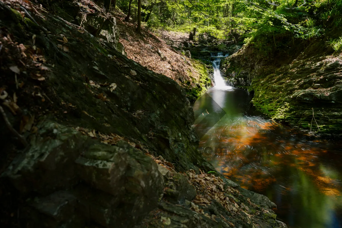 Picture of Suspension bridge over flowing river in scenic wilderness