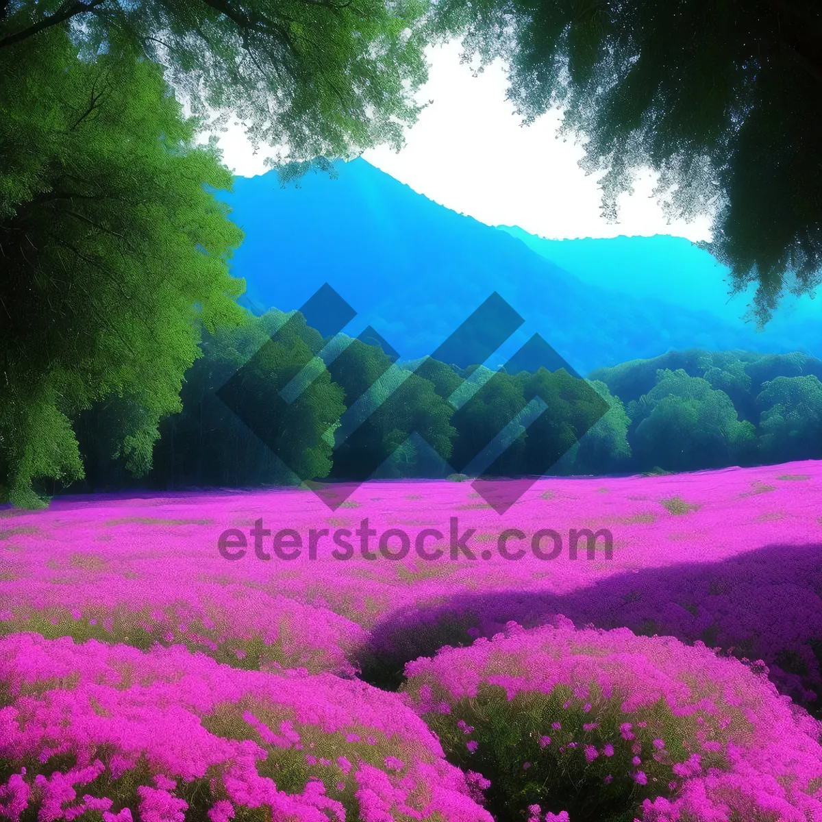 Picture of Vibrant Spring Blooms in the Countryside