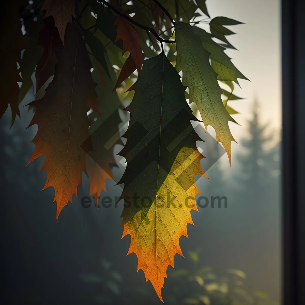 Picture of Vibrant Autumn Foliage: Yellow and Orange Maple Leaves in a Forest