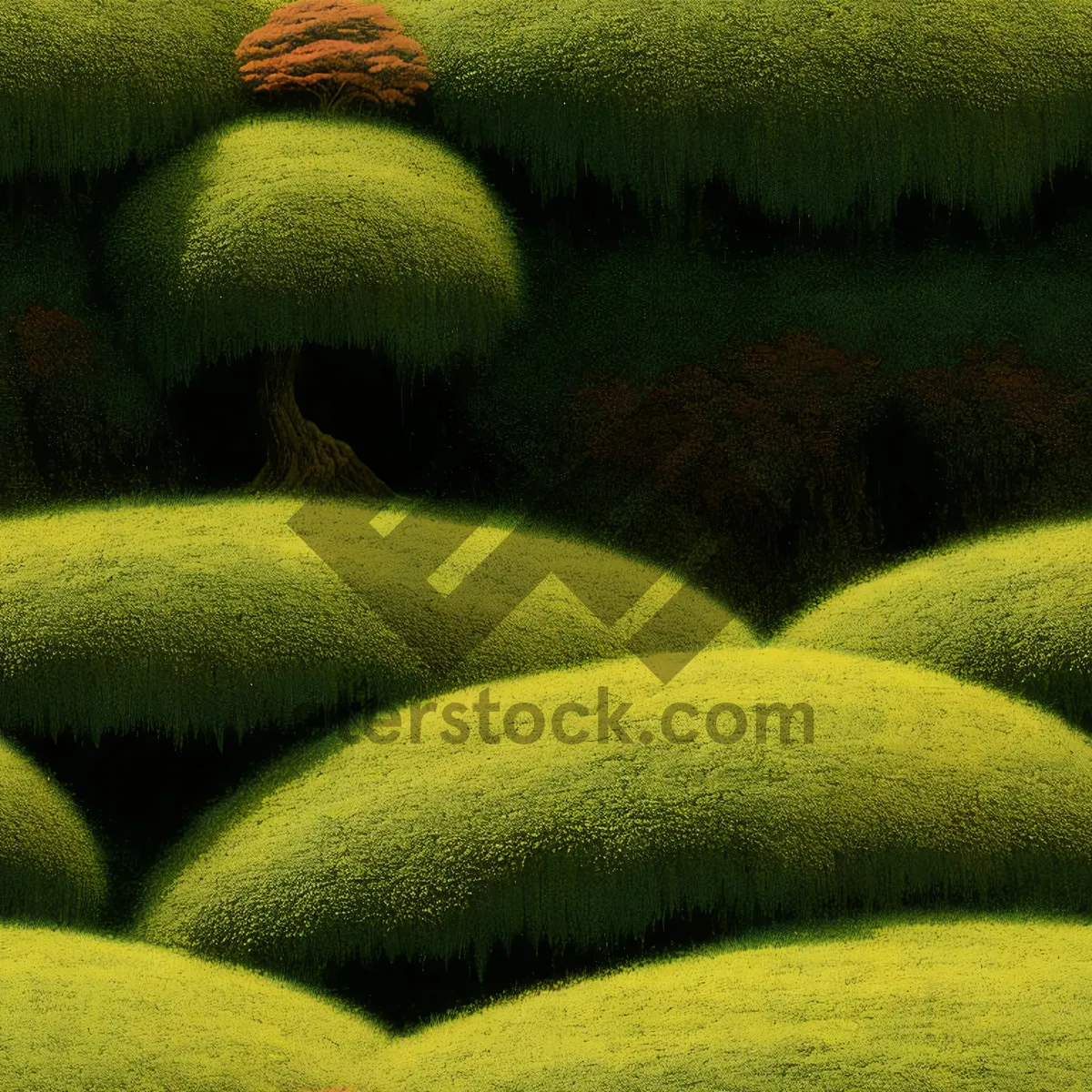 Picture of Fresh Summer Squash on Linen Towel