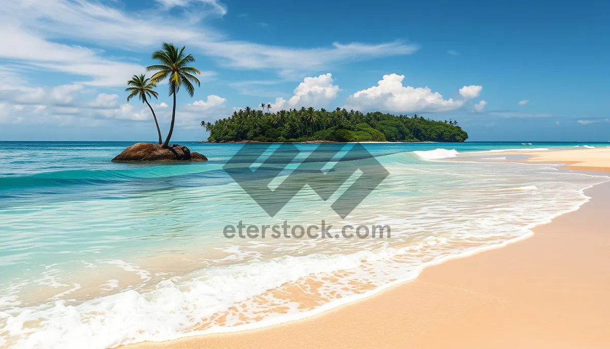 Picture of Tropical Paradise: Tranquil beach with palm trees and clear turquoise water.