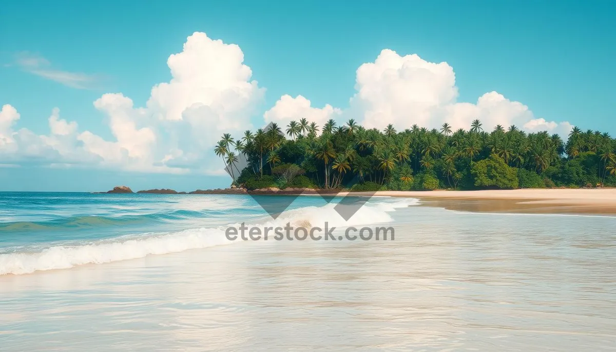 Picture of Tropical paradise beach with palm trees and turquoise waves