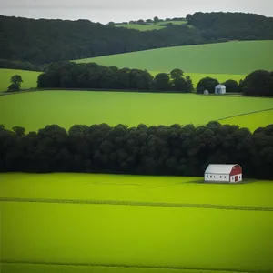 Vibrant countryside meadow with rolling hills.