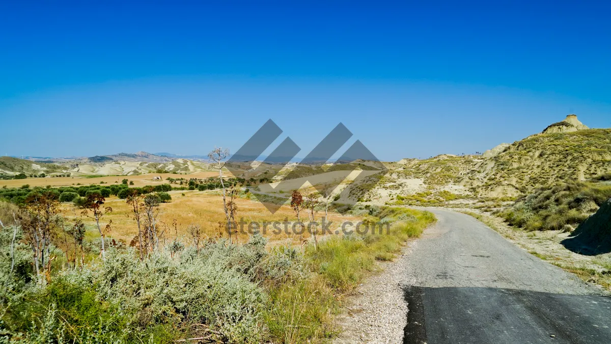 Picture of Summer Mountain Landscape in Rural Park