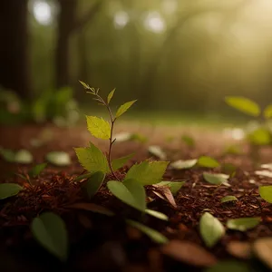 Vibrant Spring Growth: Lush foliage on a branch in a natural environment.