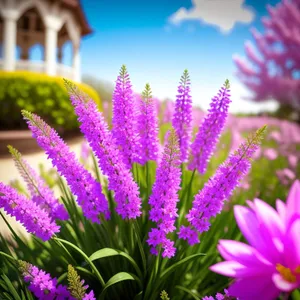 Colorful Spring Blossom with Pink Petals