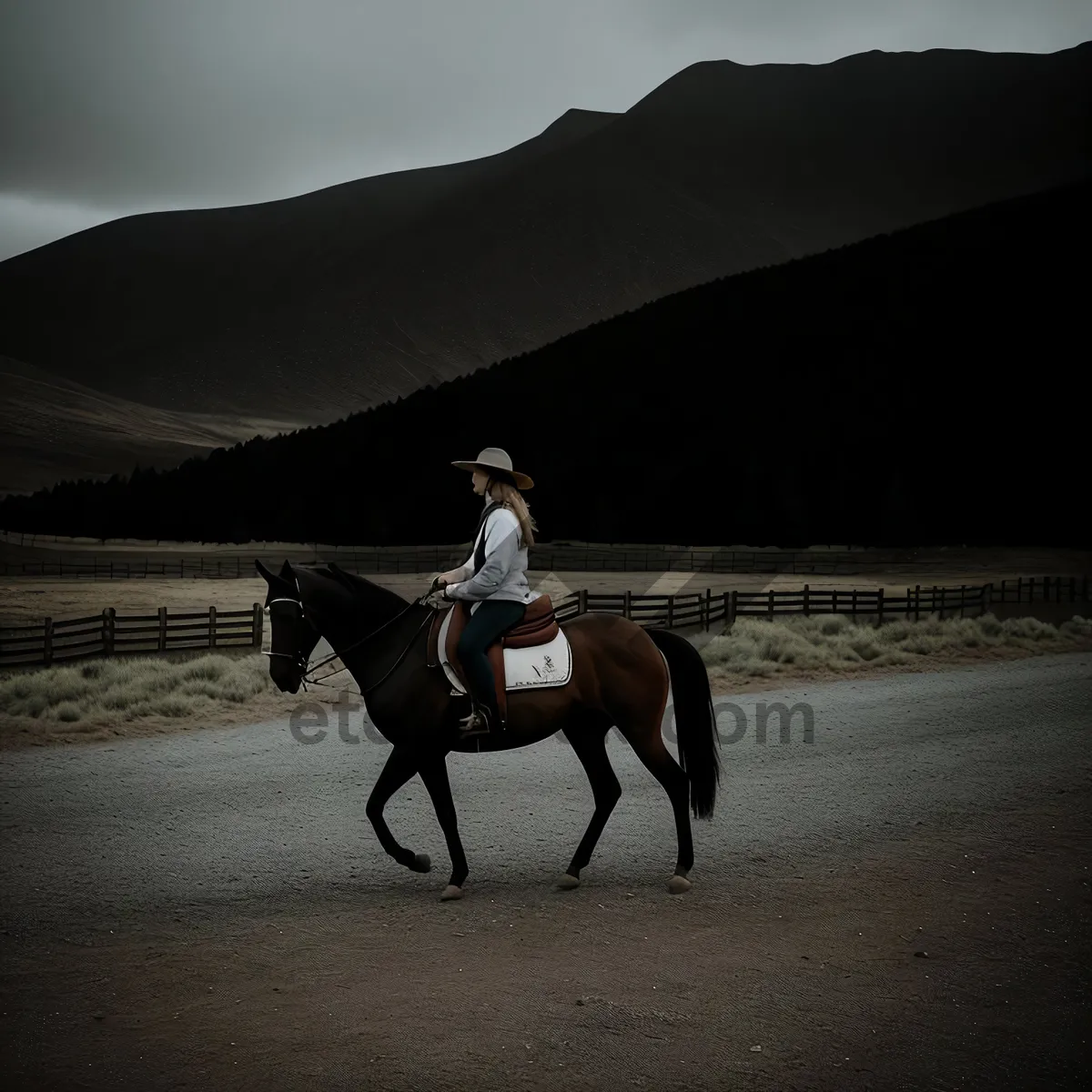 Picture of Harness supported stock saddle on grazing horse