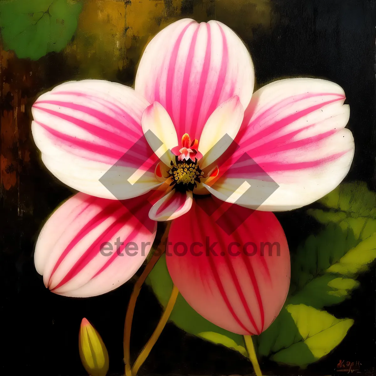 Picture of Vibrant Pink Blossoms in Flamingo Flower Garden