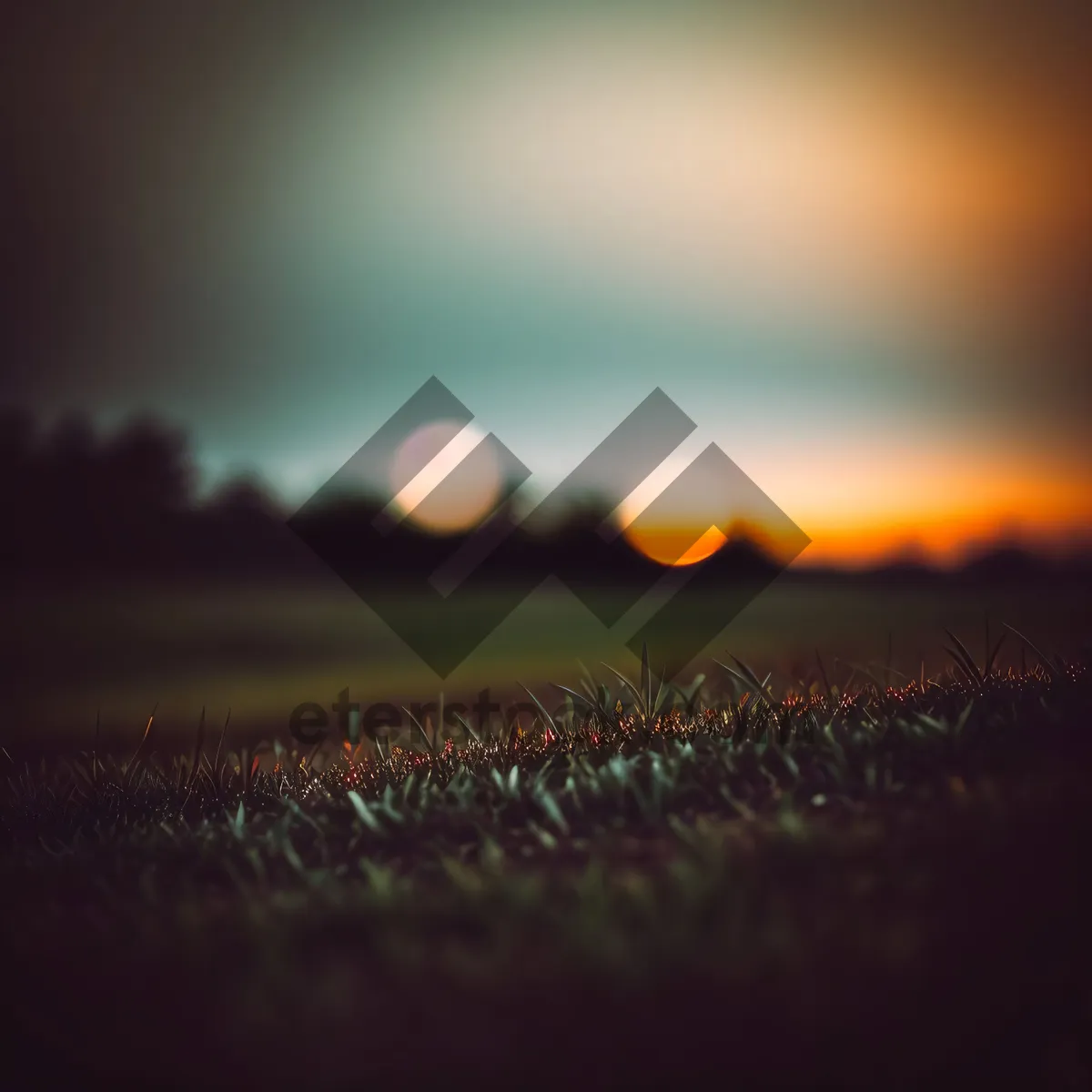Picture of Vibrant Sunset Over the Horizon