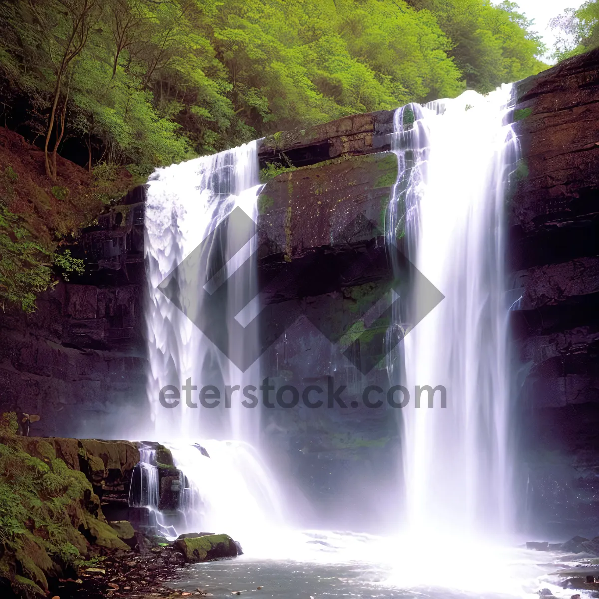 Picture of Serene Flowing Waters in Forest Park