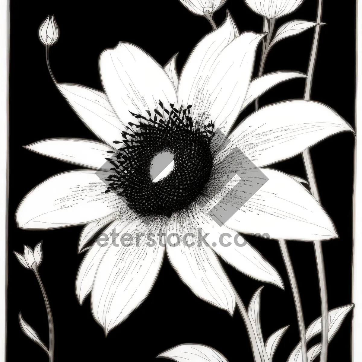 Picture of Floral Art: Vibrant Retro Flower Pattern Wallpaper