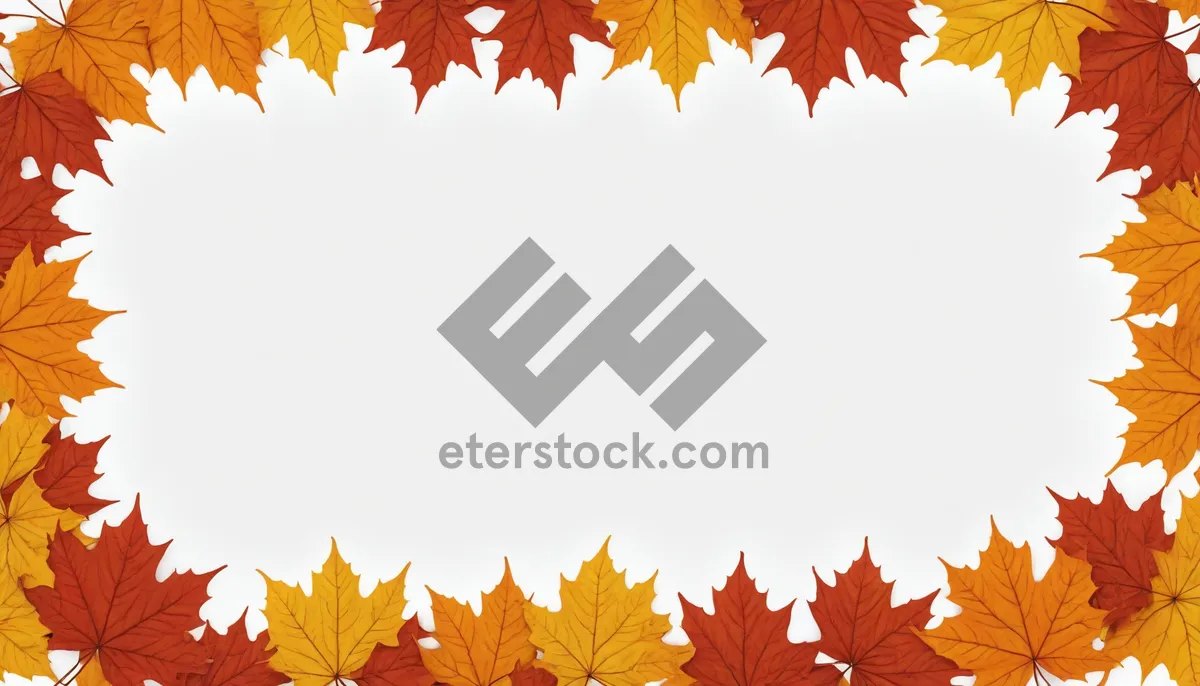 Picture of Autumn Floral Foliage Design Element