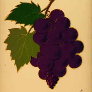 Farmhouse Vineyard: Decorative Grape Pattern Wallpaper