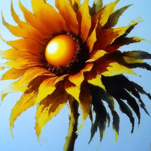 Blooming Sunflower field under vibrant summer sky