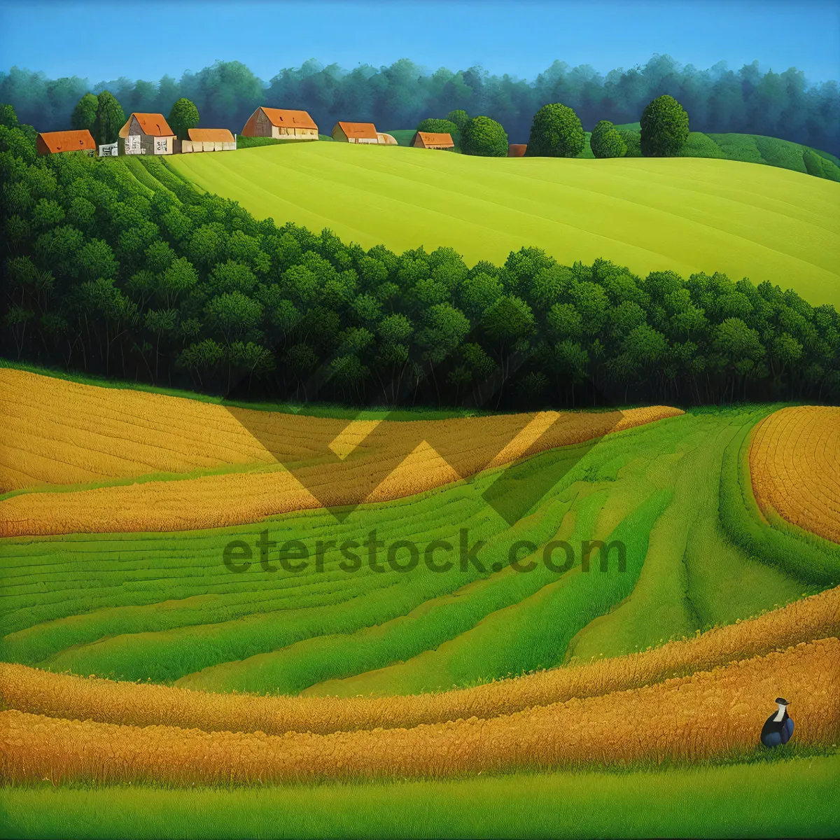 Picture of Rural Farm Field with Soybean Crop