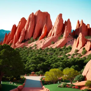 Desert Garden with Vibrant Orange Coral Tree