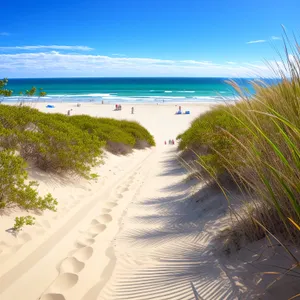 Tropical Paradise: Beach, Ocean, Palm Trees