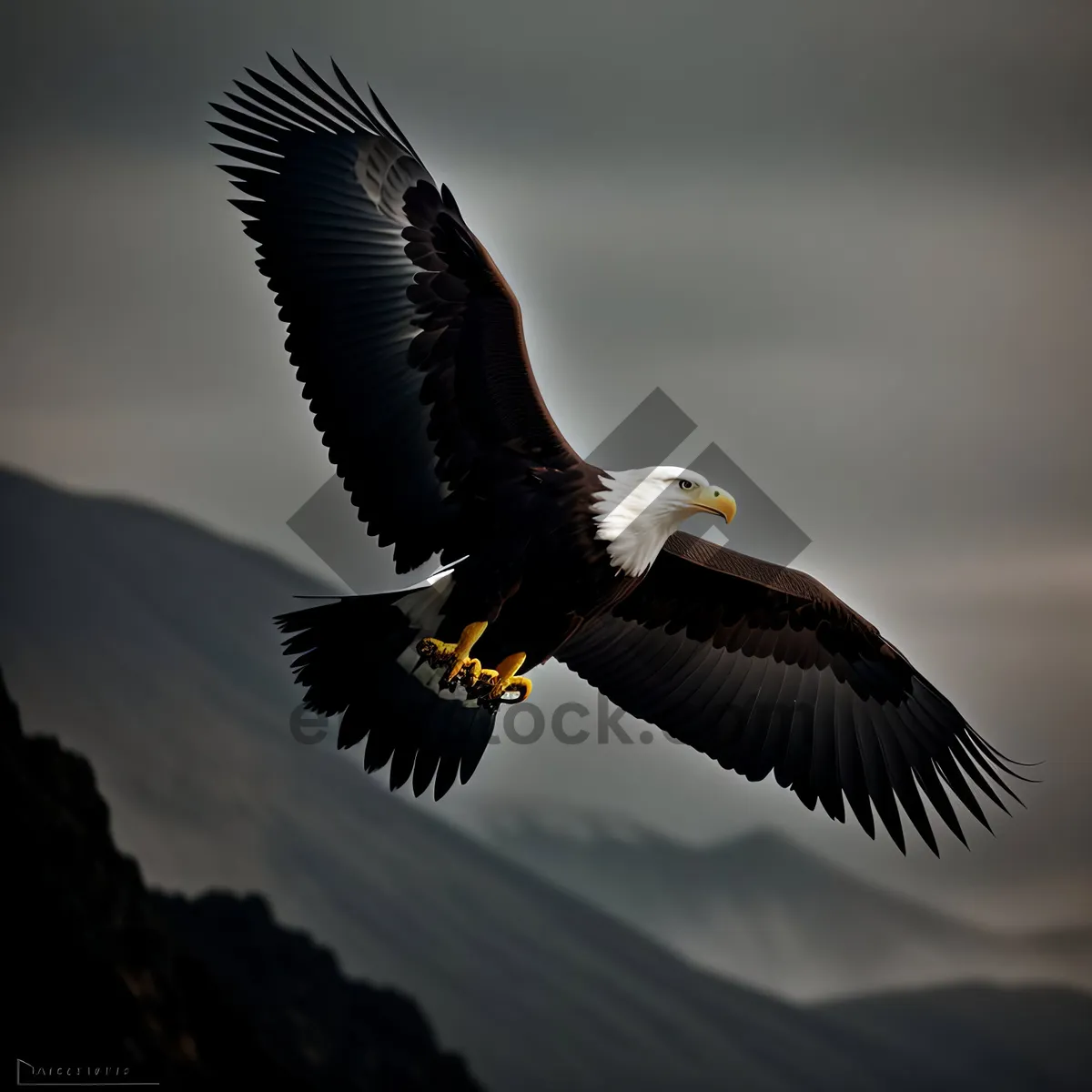 Picture of  Majestic Bald Eagle Soaring Through the Sky