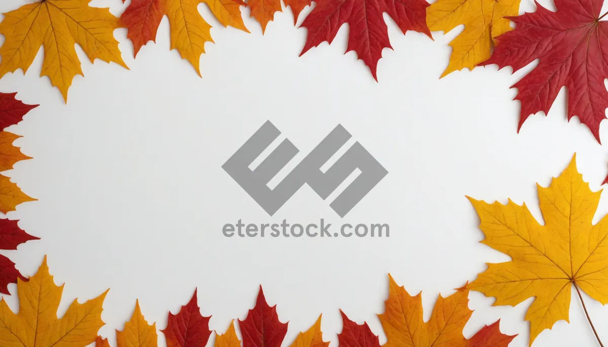 Picture of Autumn Foliage Border in Orange and Yellow