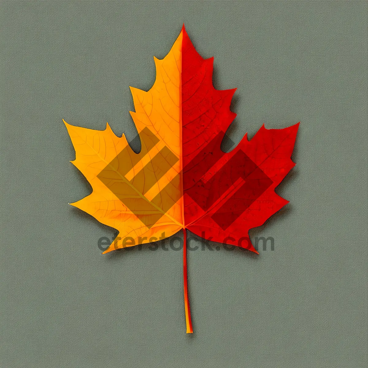 Picture of Autumn Maple Leaf Bookmark Decoration