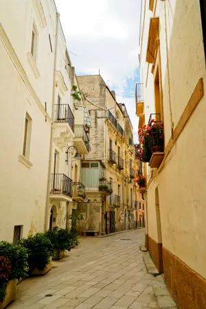 Historic cathedral towering above ancient city streets.