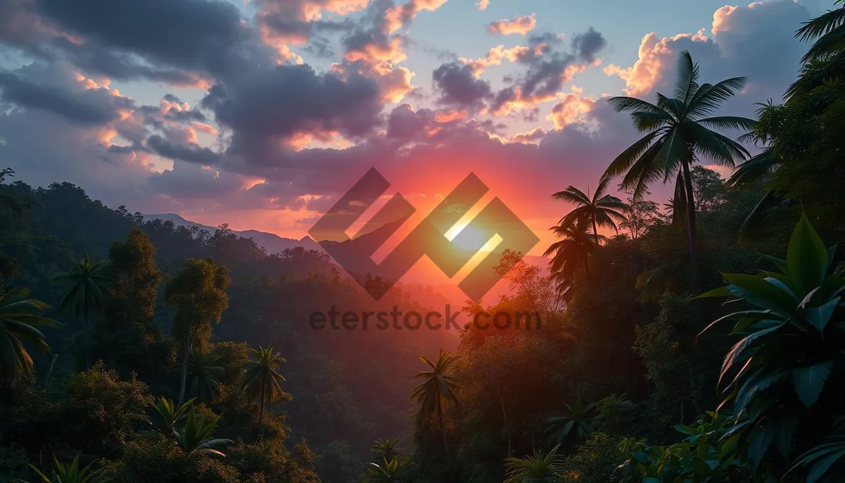 Picture of Silhouette of tree against orange sky at sunset.