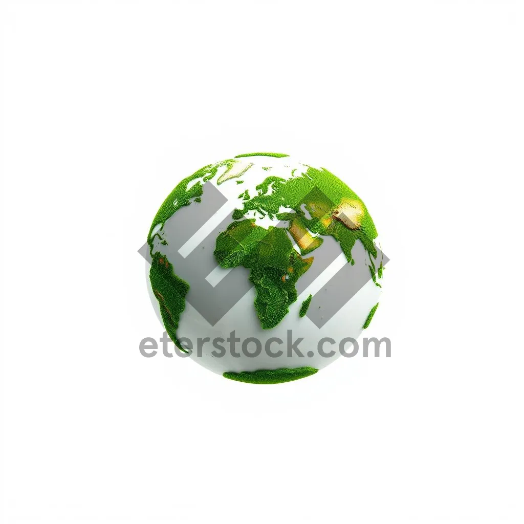 Picture of Shiny Global Earth Map Icon