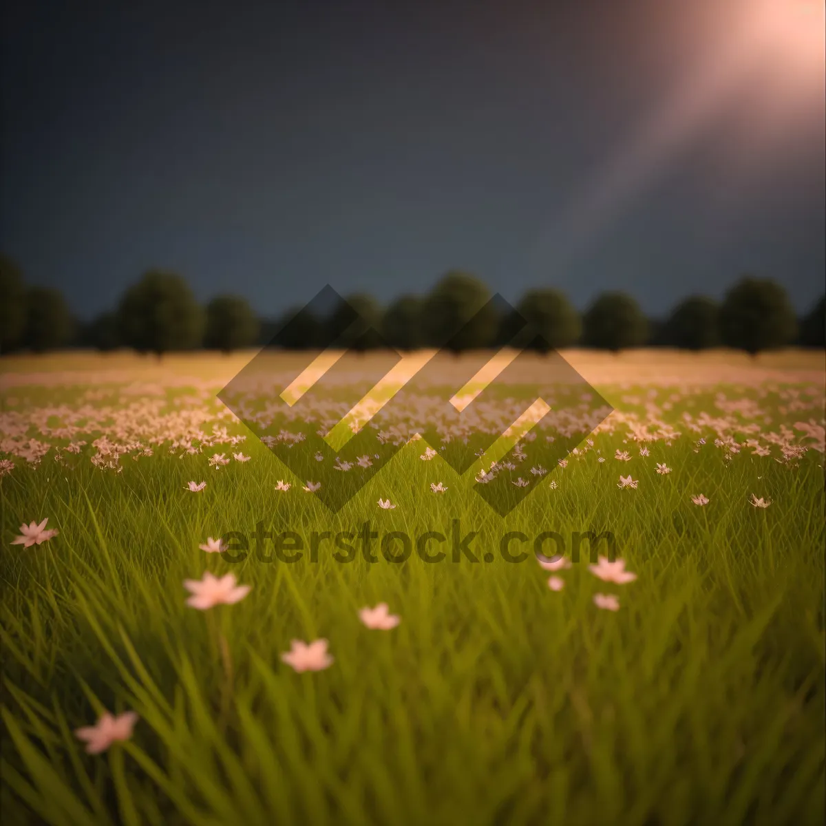 Picture of Golden Serenity: Wheat Field under Clear Summer Sky