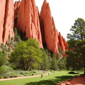 Majestic Valley View: Stunning Canyon Landscape Surrounded by Towering Trees in National Park