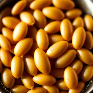 Organic Yellow Corn Kernel - Healthy, Nutritious Vegetable Grain