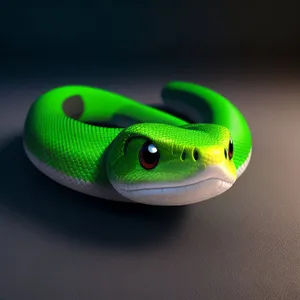 Green-eyed Vine Snake in Wildlife