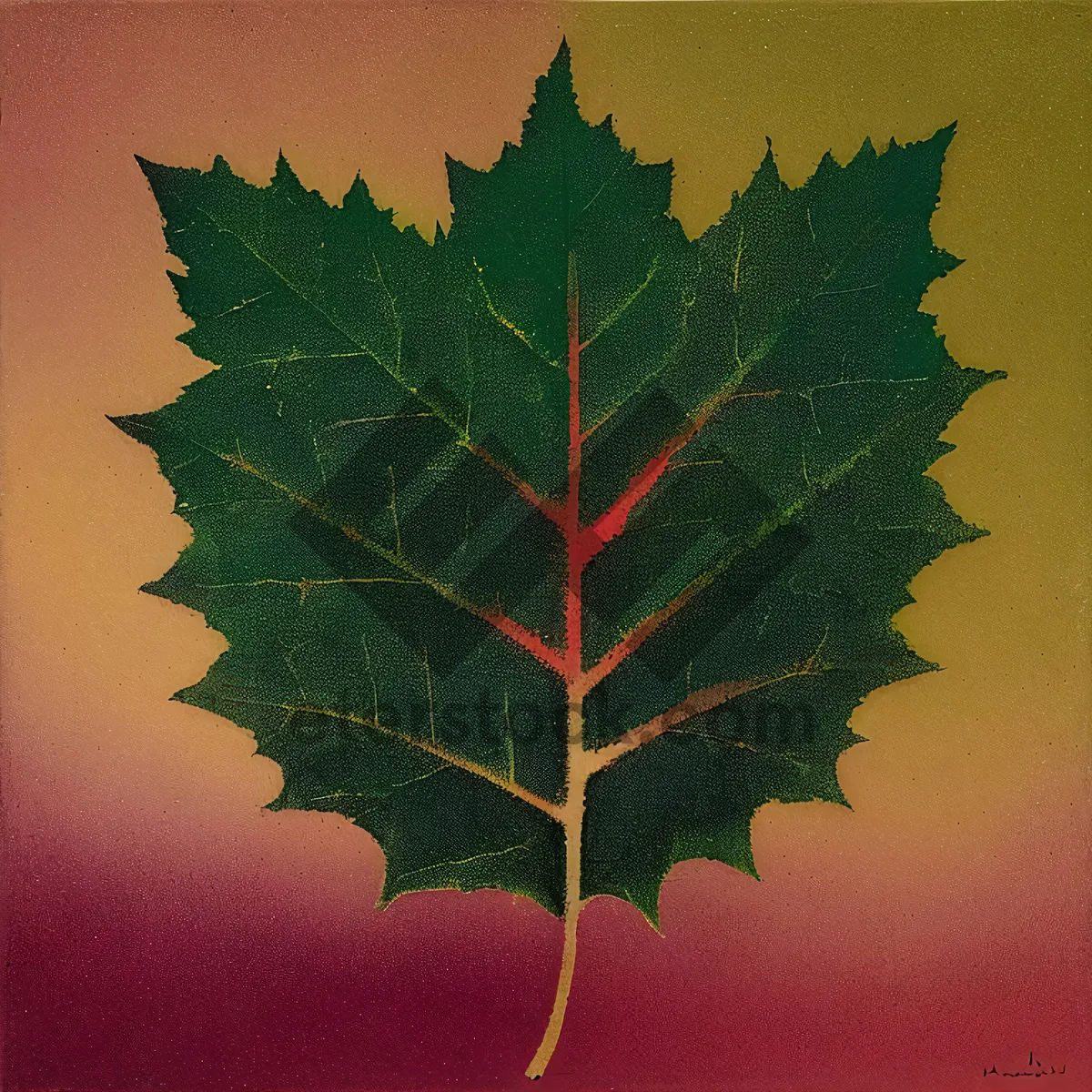 Picture of Autumn Maple Leaf - Vibrant Seasonal Foliage