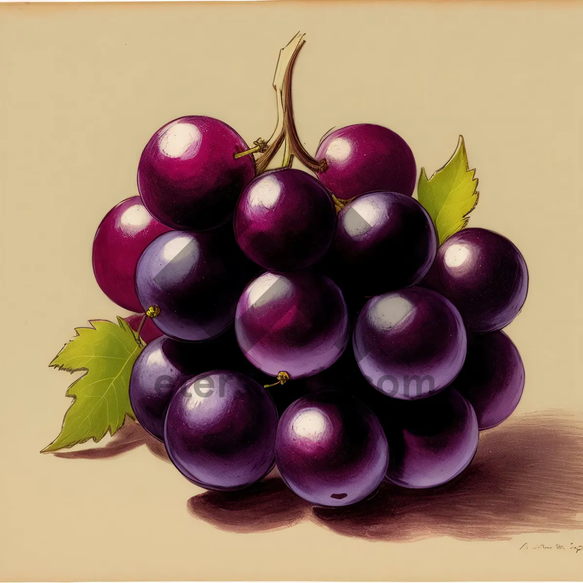 Picture of Juicy Grape Bunch - Fresh, Sweet, and Healthy Fruit