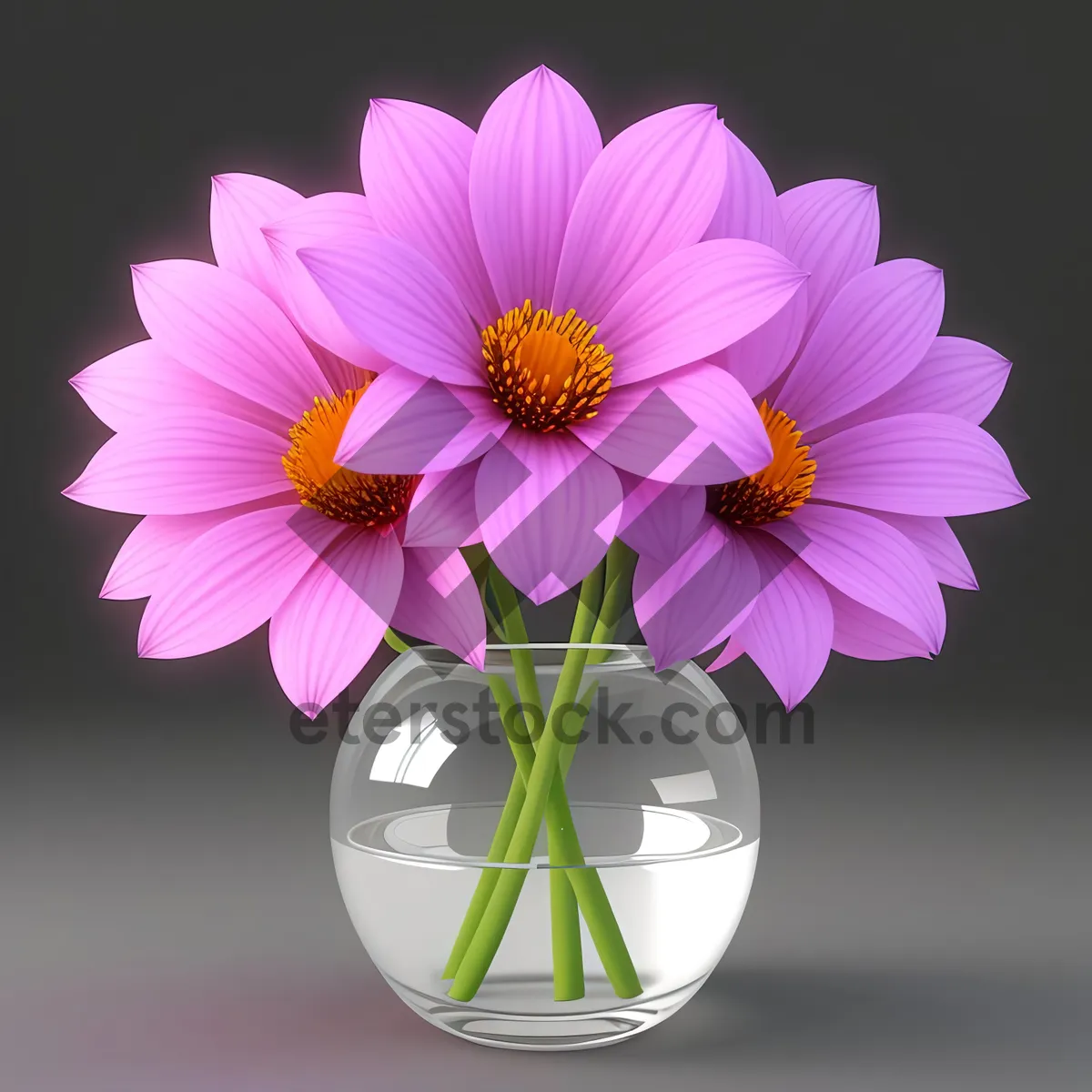 Picture of Blooming Pink Daisy - Floral Beauty in Vibrant Colors