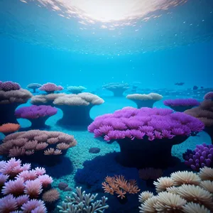Colorful Coral Reef Life Underwater