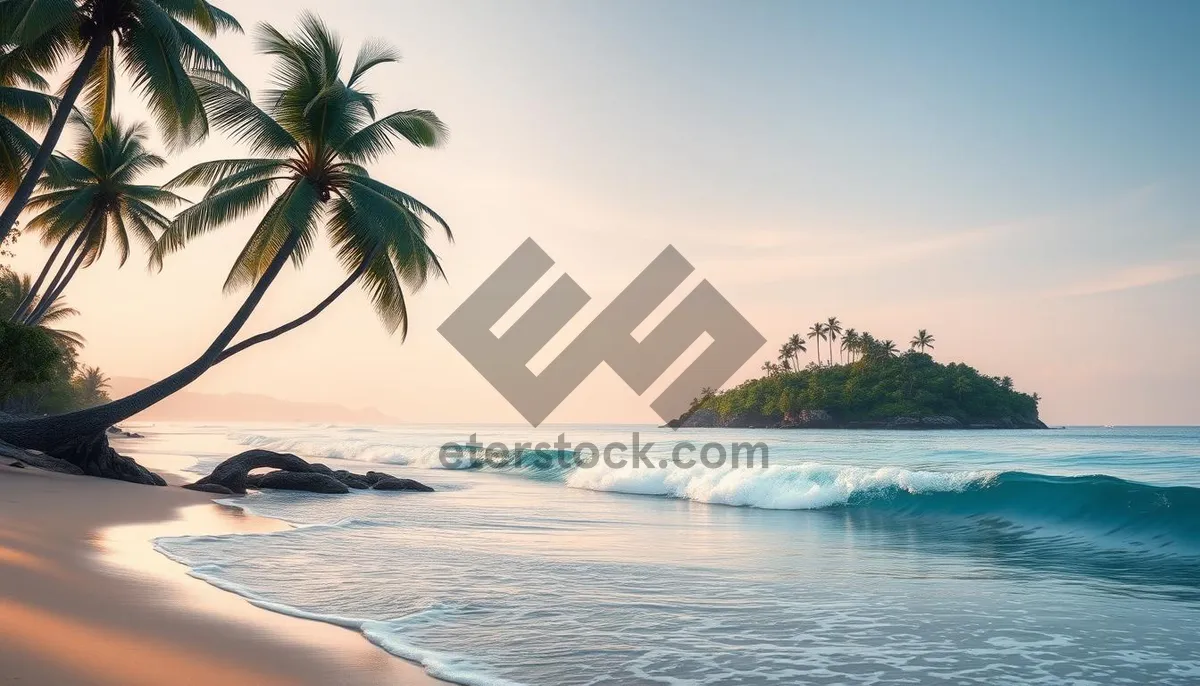 Picture of Tropical Island Paradise with Calm Turquoise Waters