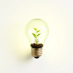 Electric lamp shining light on small green plant