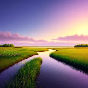 Vibrant Sky Over Summer Meadow