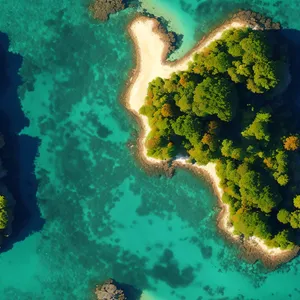 Vibrant Coral Reef Teeming with Colorful Marine Life.