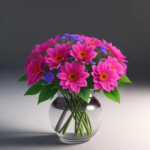 Colorful Floral Bouquet in Bloom