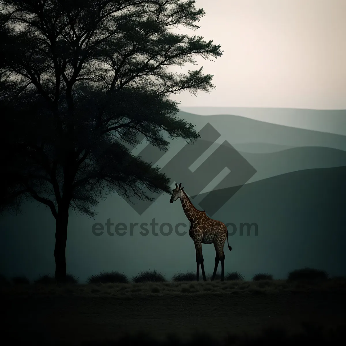 Picture of Serengeti Sunset: Majestic Giraffe Silhouette in the Wild