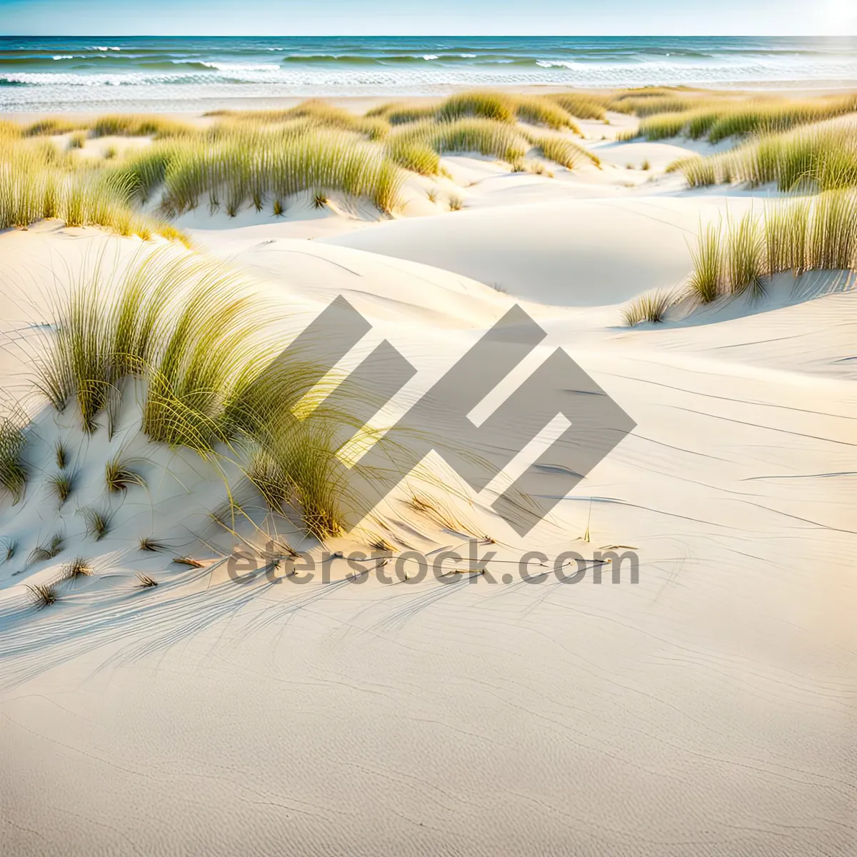 Picture of Tropical Beach Paradise with Palm Trees and Turquoise Water