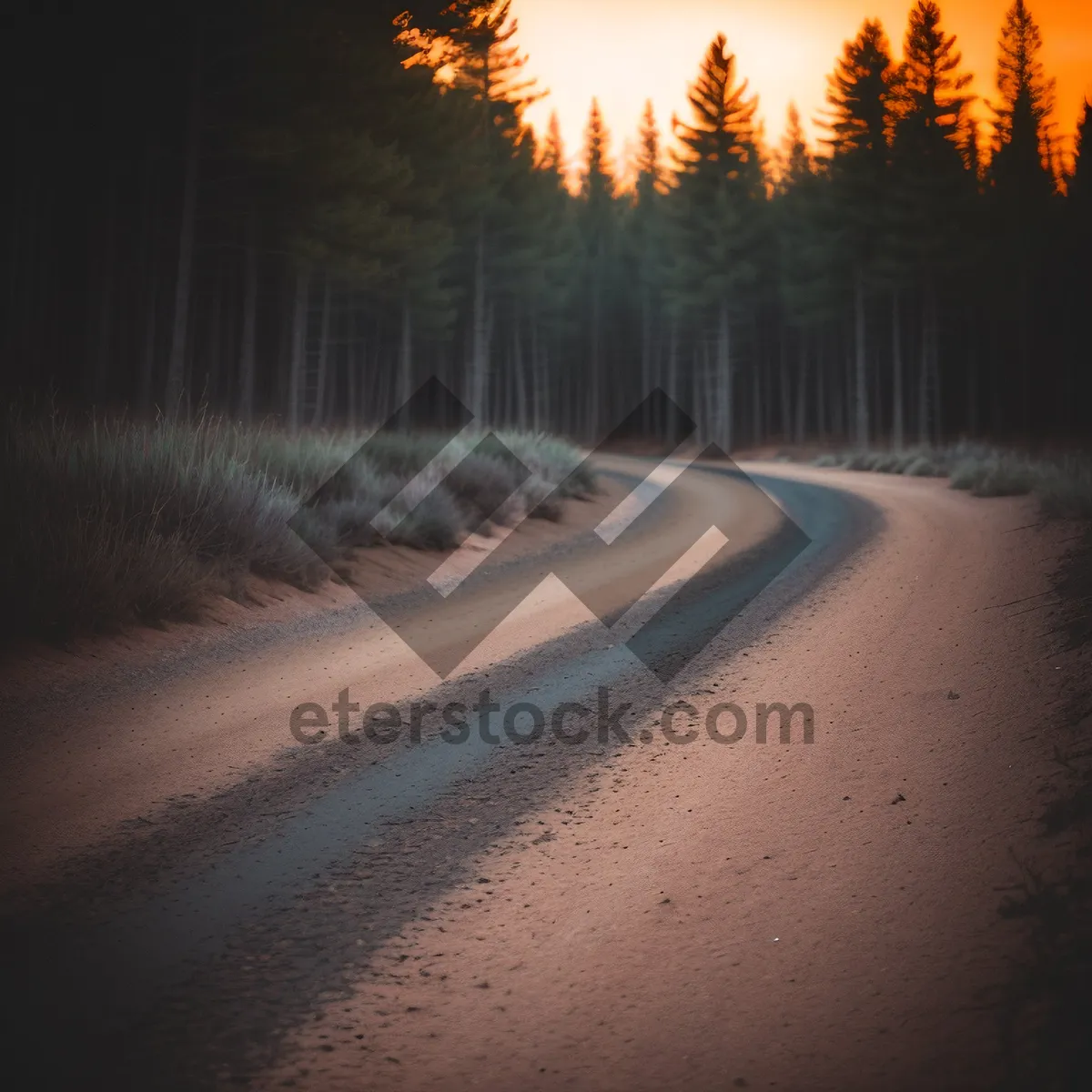 Picture of Serene Winter Journey through Majestic Forest