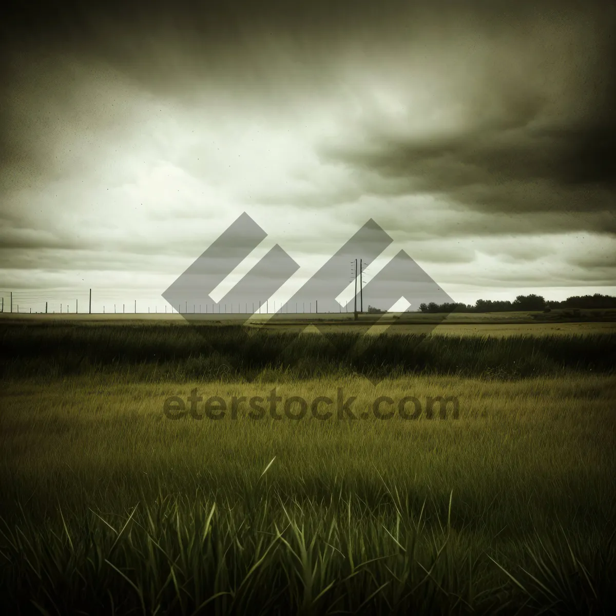 Picture of Vibrant Sunset Over Serene Countryside Field